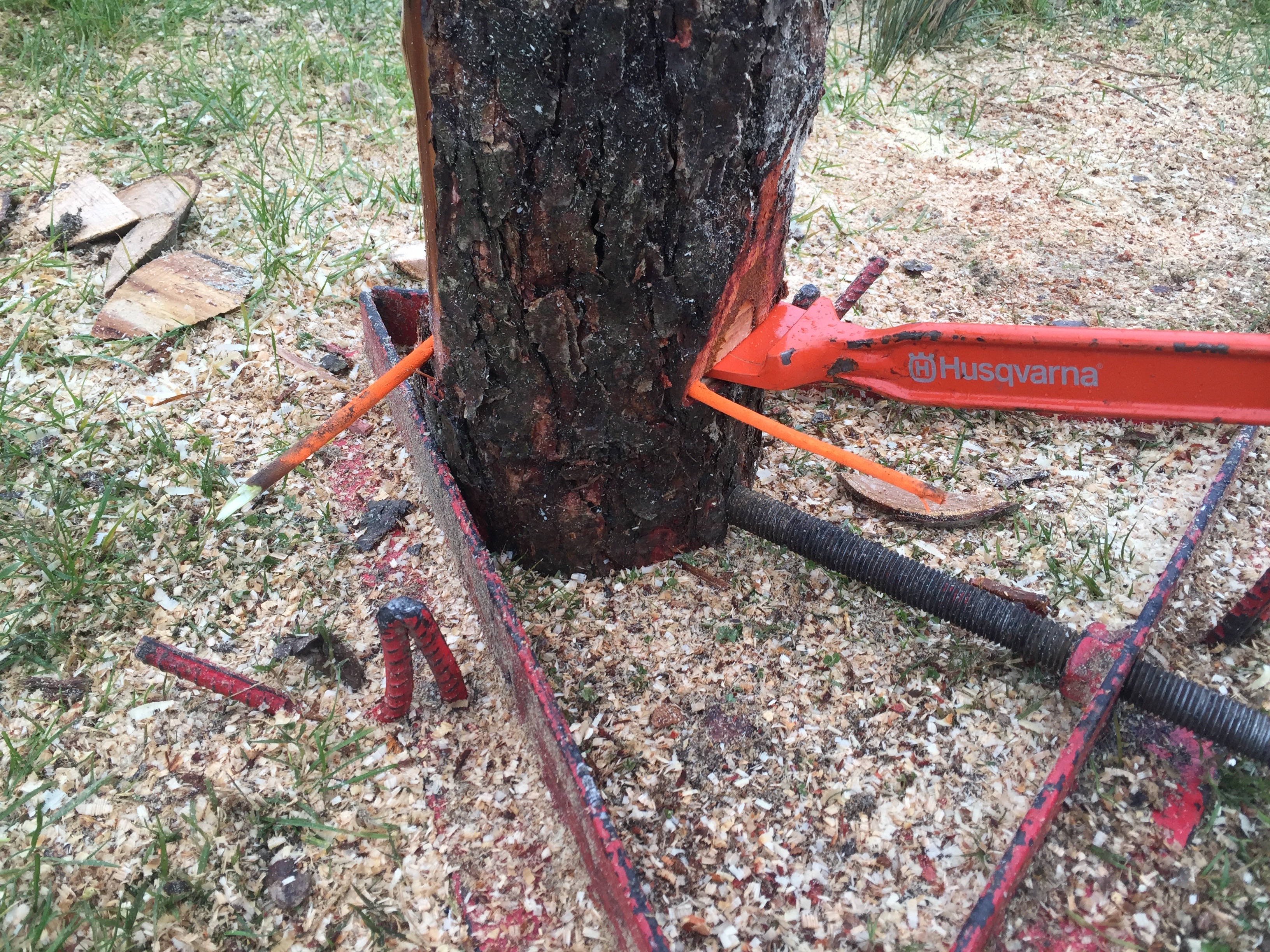 Felling guilds city and tree